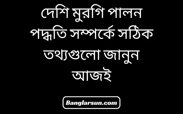 দেশি মুরগি পালন পদ্ধতি